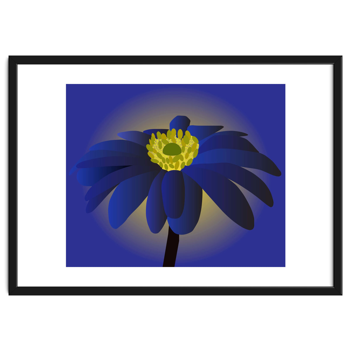 Anemone Blanda Flower Art