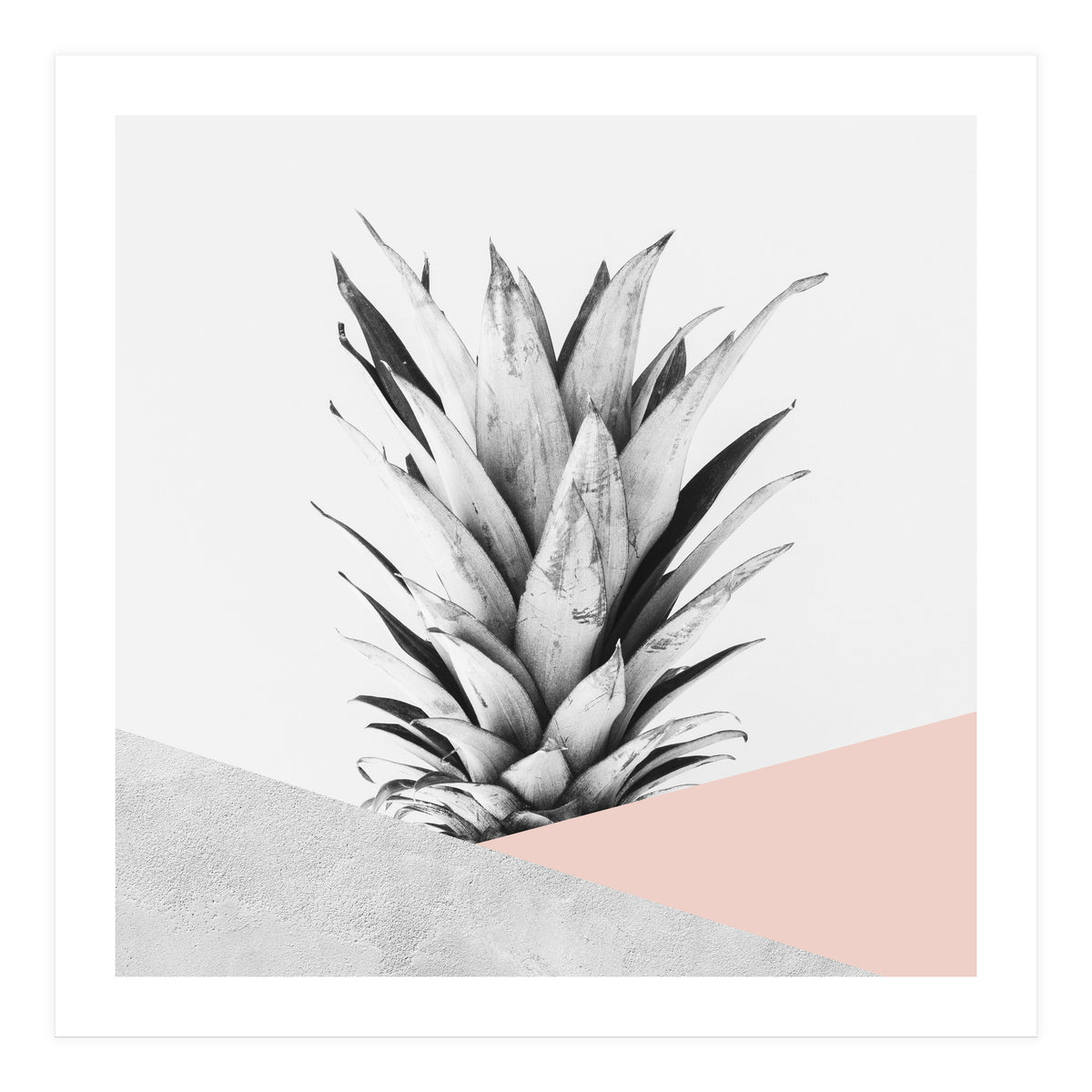 Scandinavian pineapple II (Print Only)