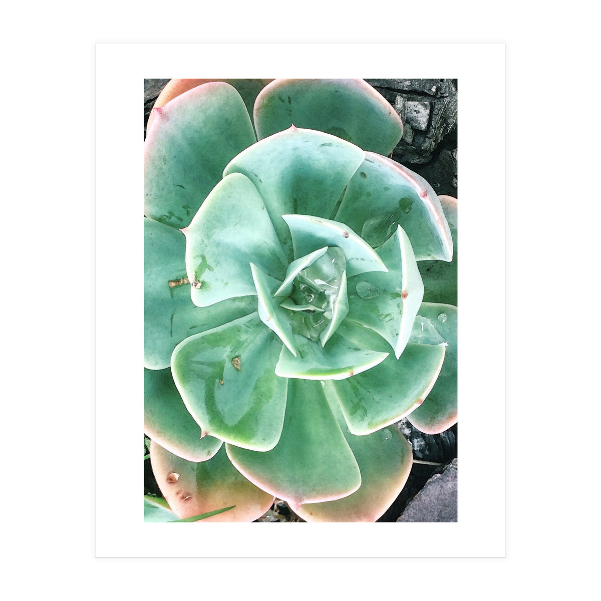 68 (Print Only)
