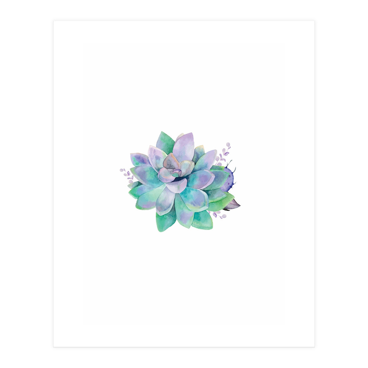 Aqua Succulent (Print Only)