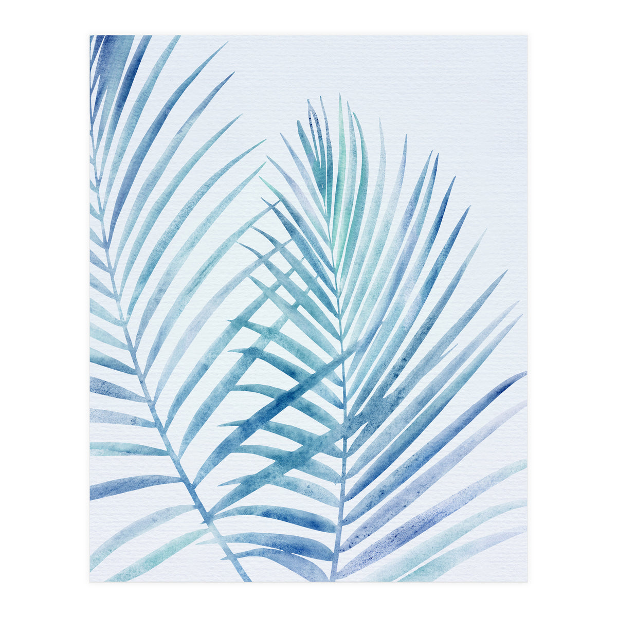 Coastal Palm Fronds (Print Only)