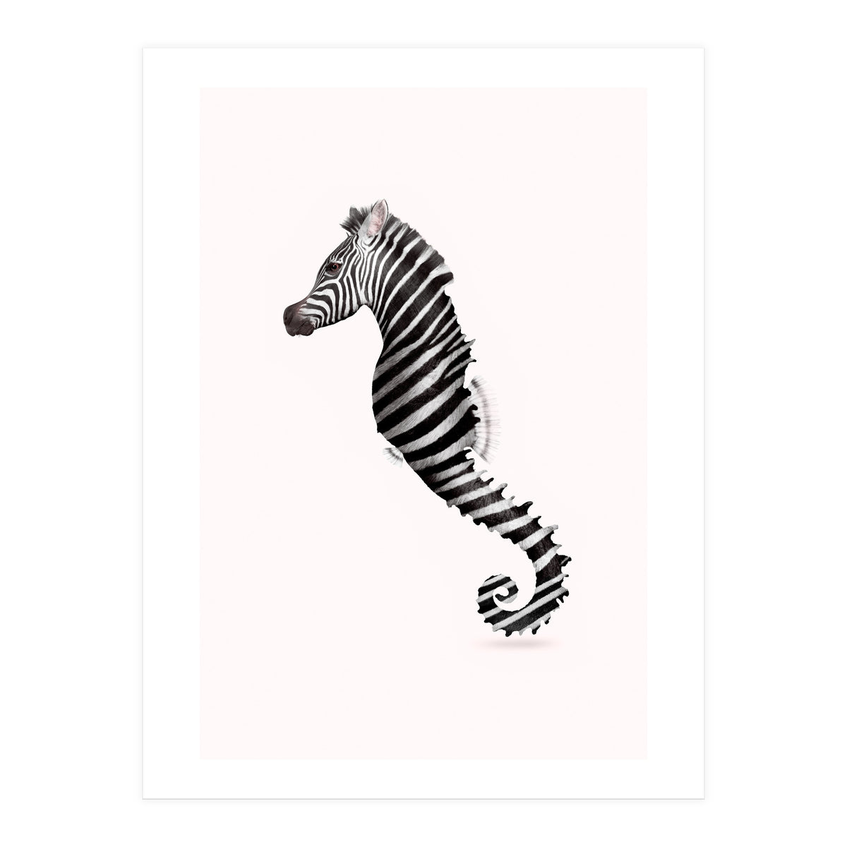 Zeahorse (Print Only)