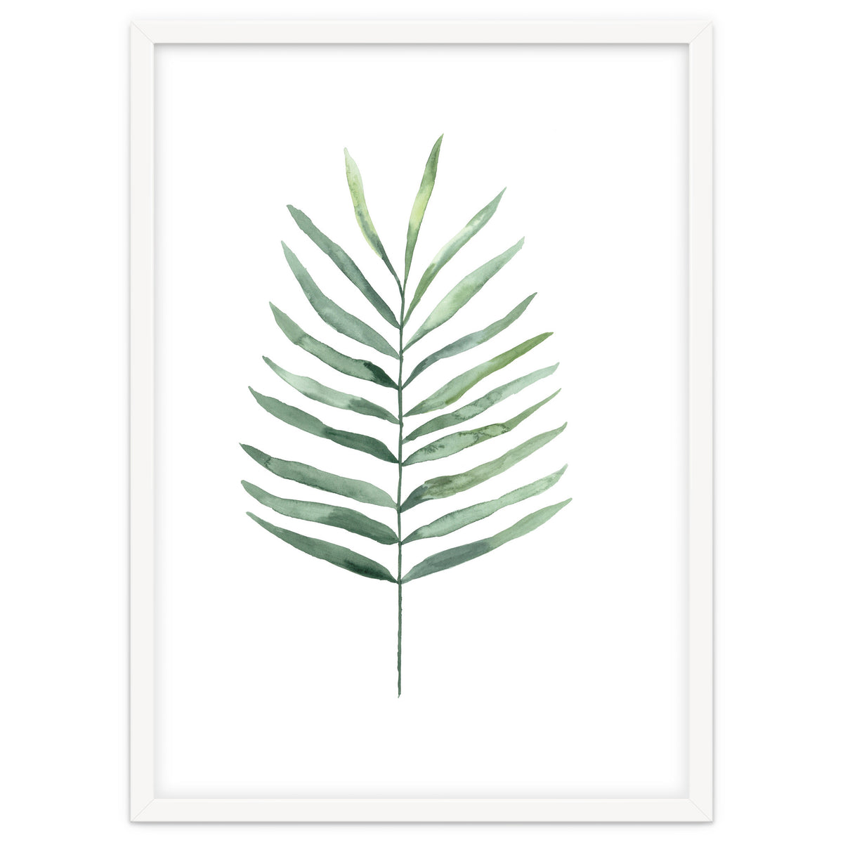 Botanical Illustration Fern