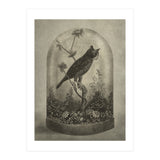 The Curiosity (Print Only) thumbnail