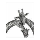Giraffe Family (Print Only) thumbnail