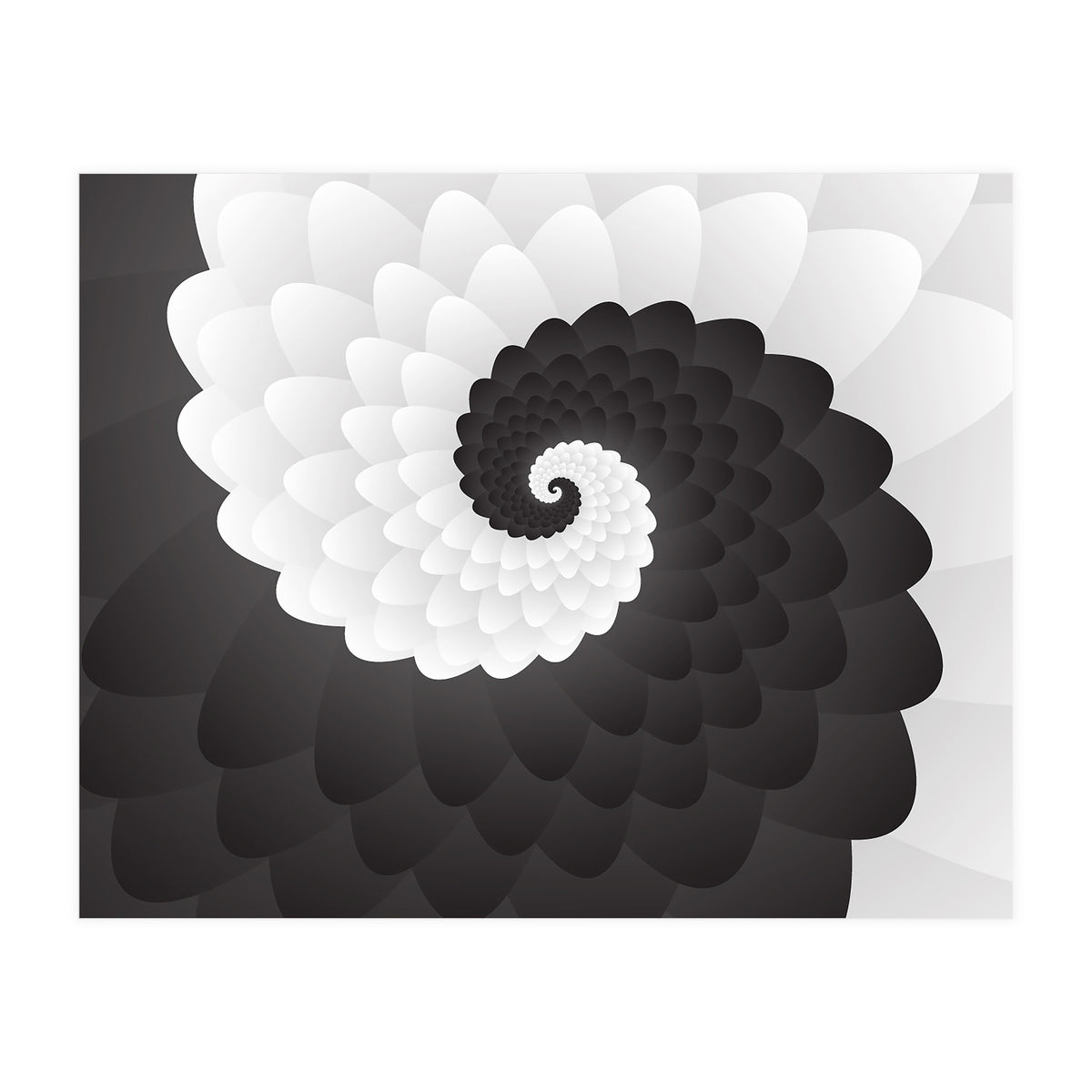 Mono Chrome Spiral Pattern  (Print Only)