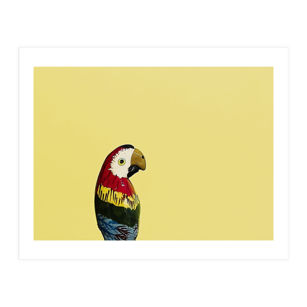 Parrot (Print Only)