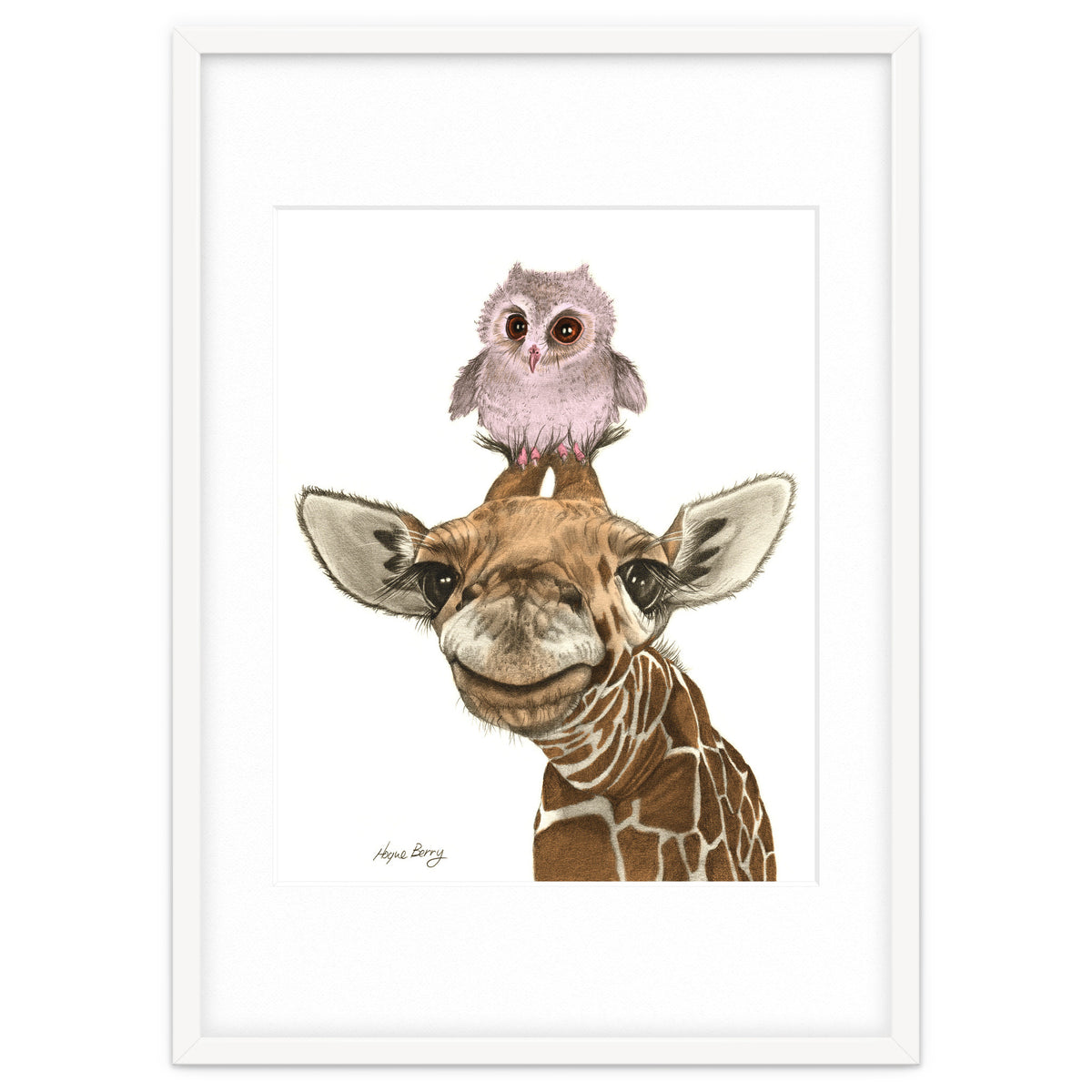Giraffe and Owl
