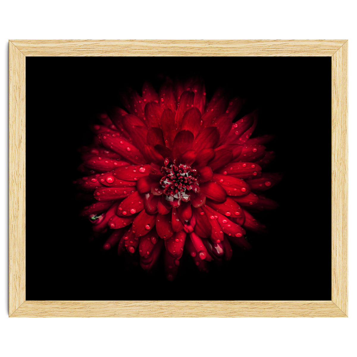 Backyard Flowers 45 Color Version