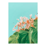 Carlie (Print Only) thumbnail