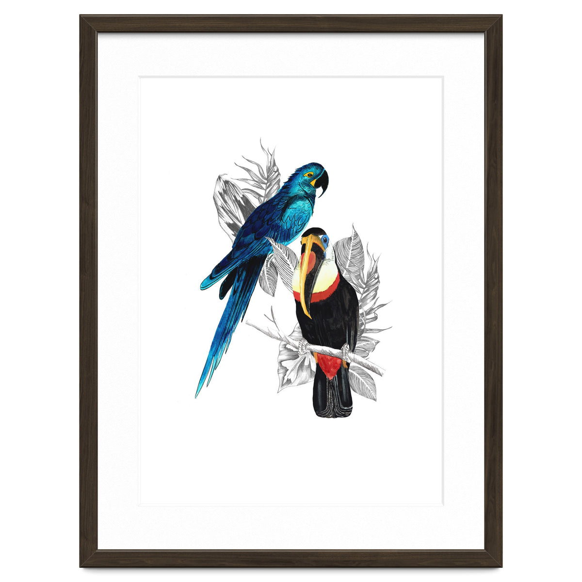 The Toucan and the Parrot