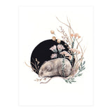 Sleeping Mouse (Print Only) thumbnail