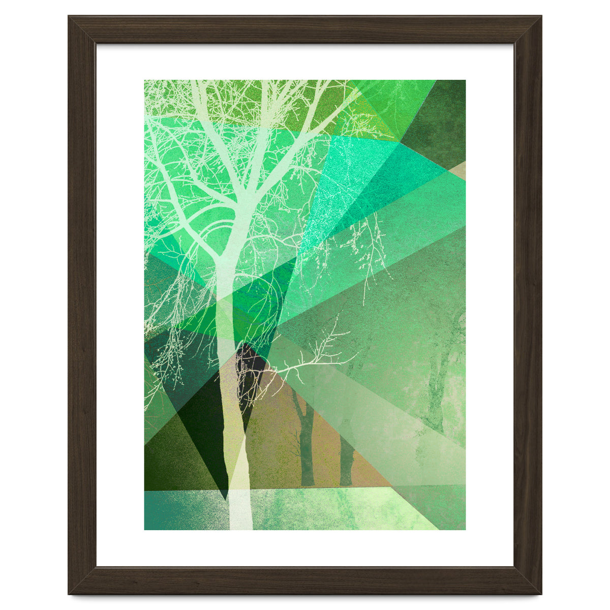 P22 B Trees And Triangles