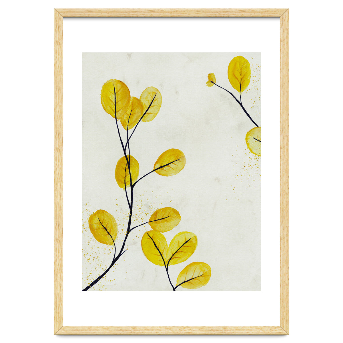 Golden birch leaves