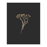 Gold Burst Botanicals - Square (Print Only) thumbnail