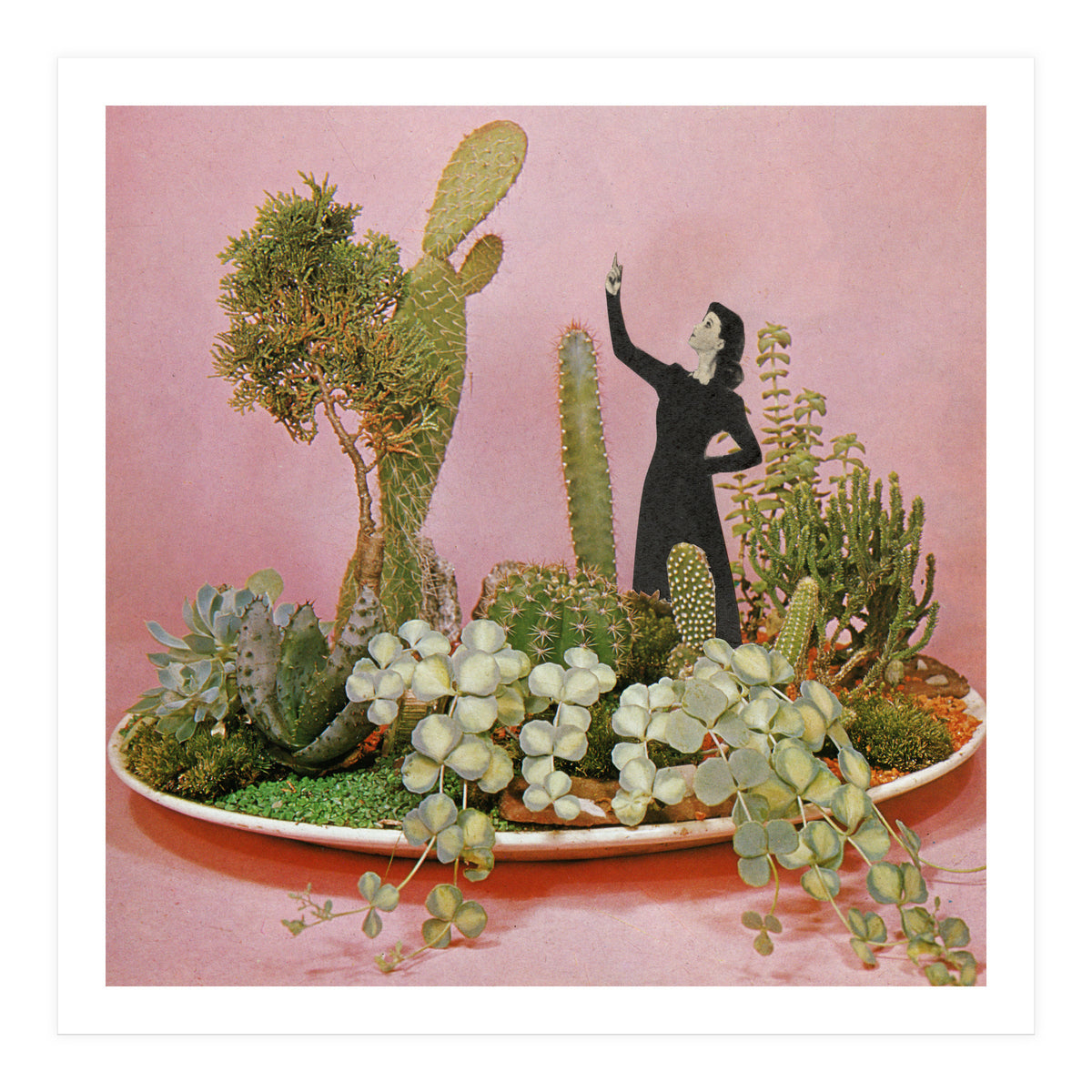 The Wonders Of Cactus Island (Print Only)