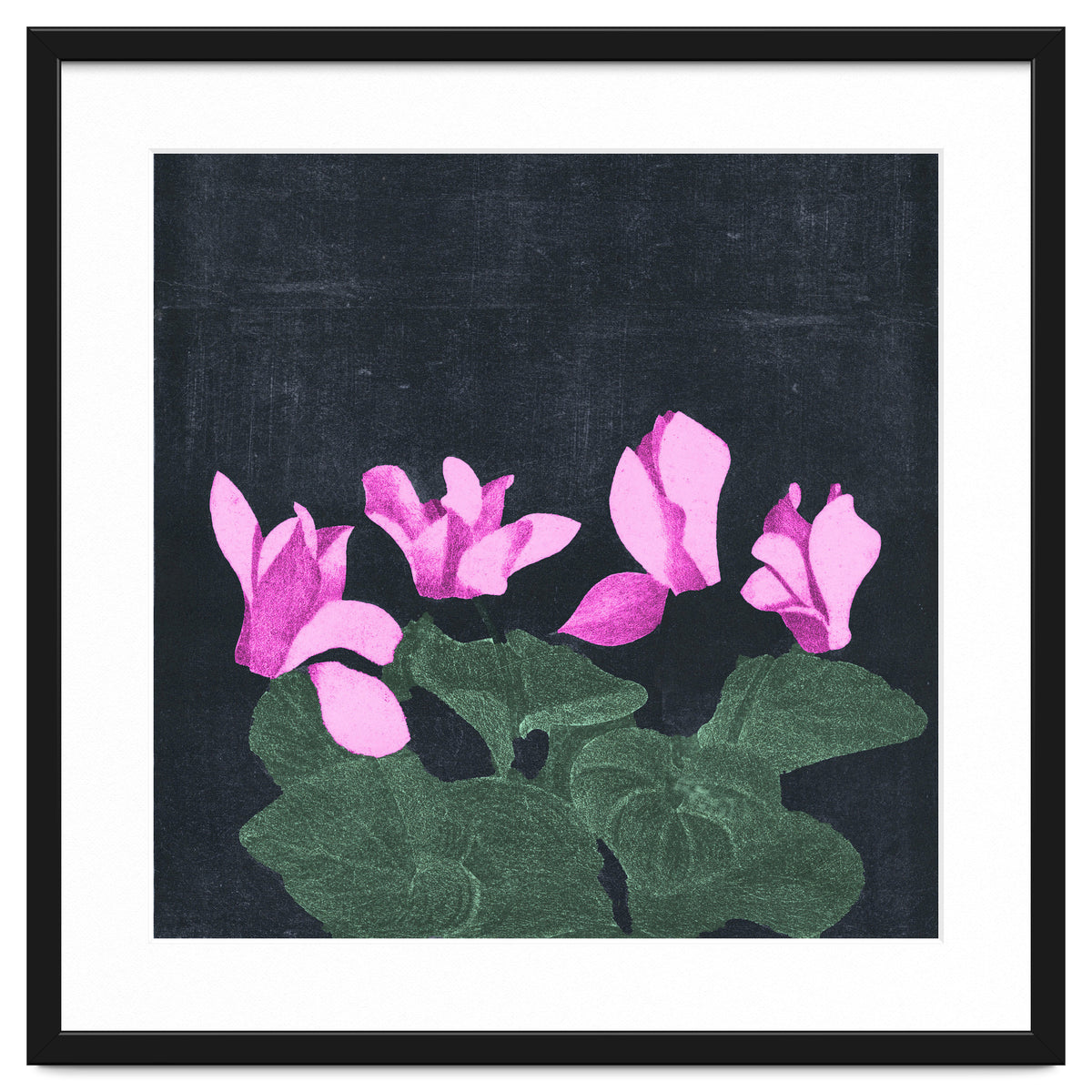 Cyclamen
