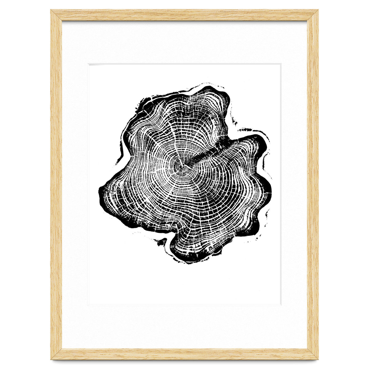Alaskan Cypress, Tree Ring Art Print, Woodblock
