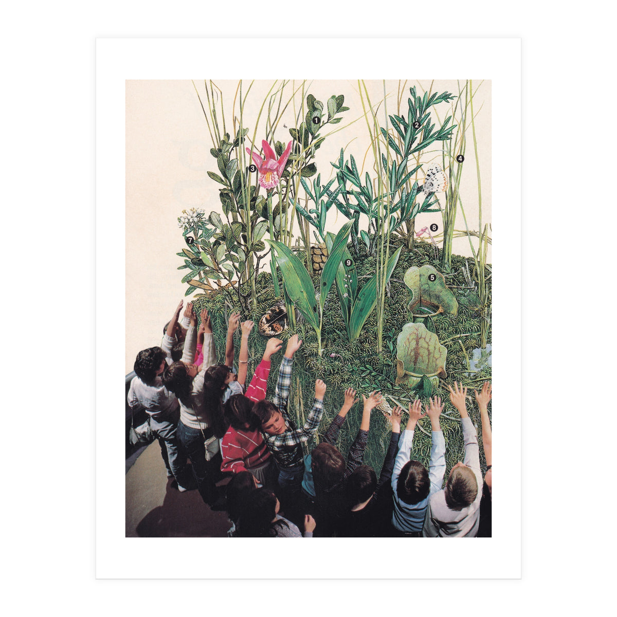 Grow Up (Print Only)