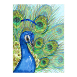 Peacock portrait (Print Only) thumbnail