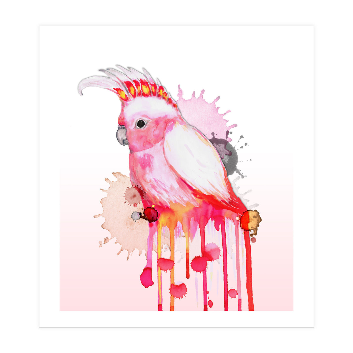 Major Mitchell's cockatoo (Print Only)