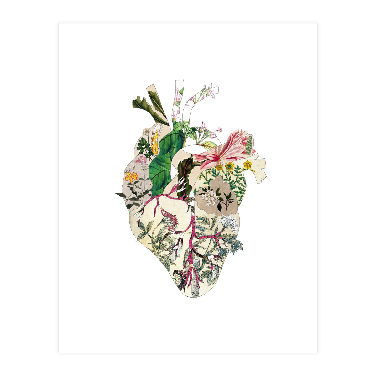 Vintage Botanical Heart (Print Only)