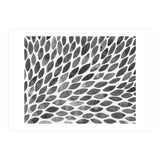 Black and white petal burst (Print Only) thumbnail