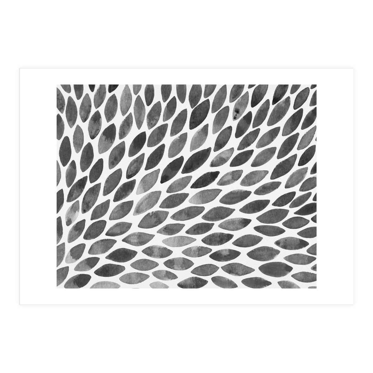 Black and white petal burst (Print Only)