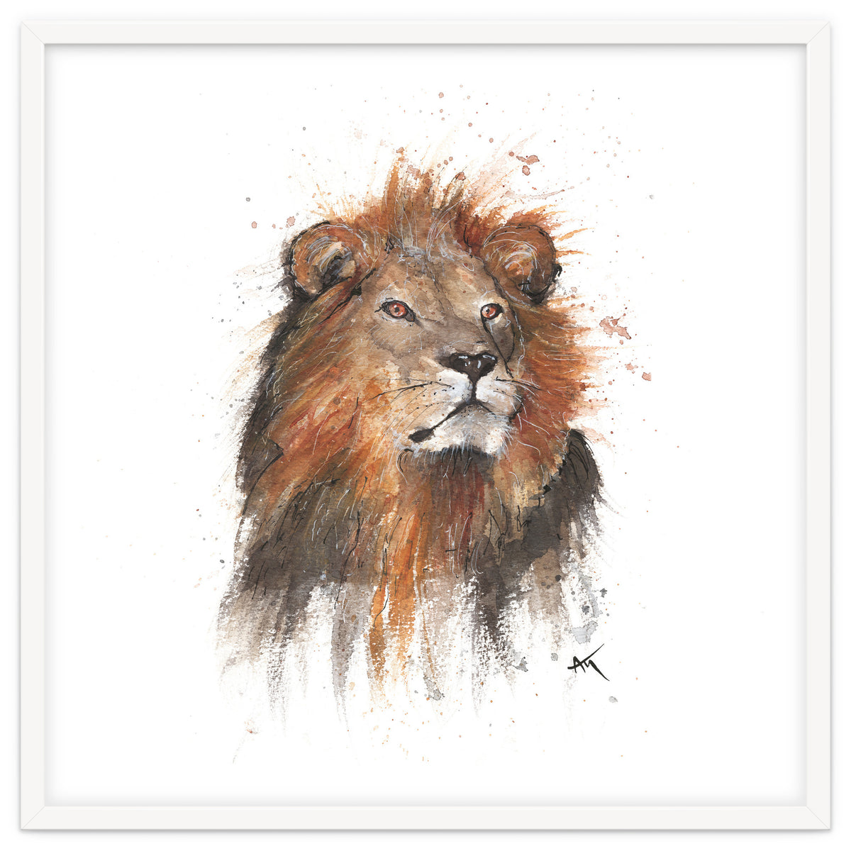 Lion - Wildlife Collection