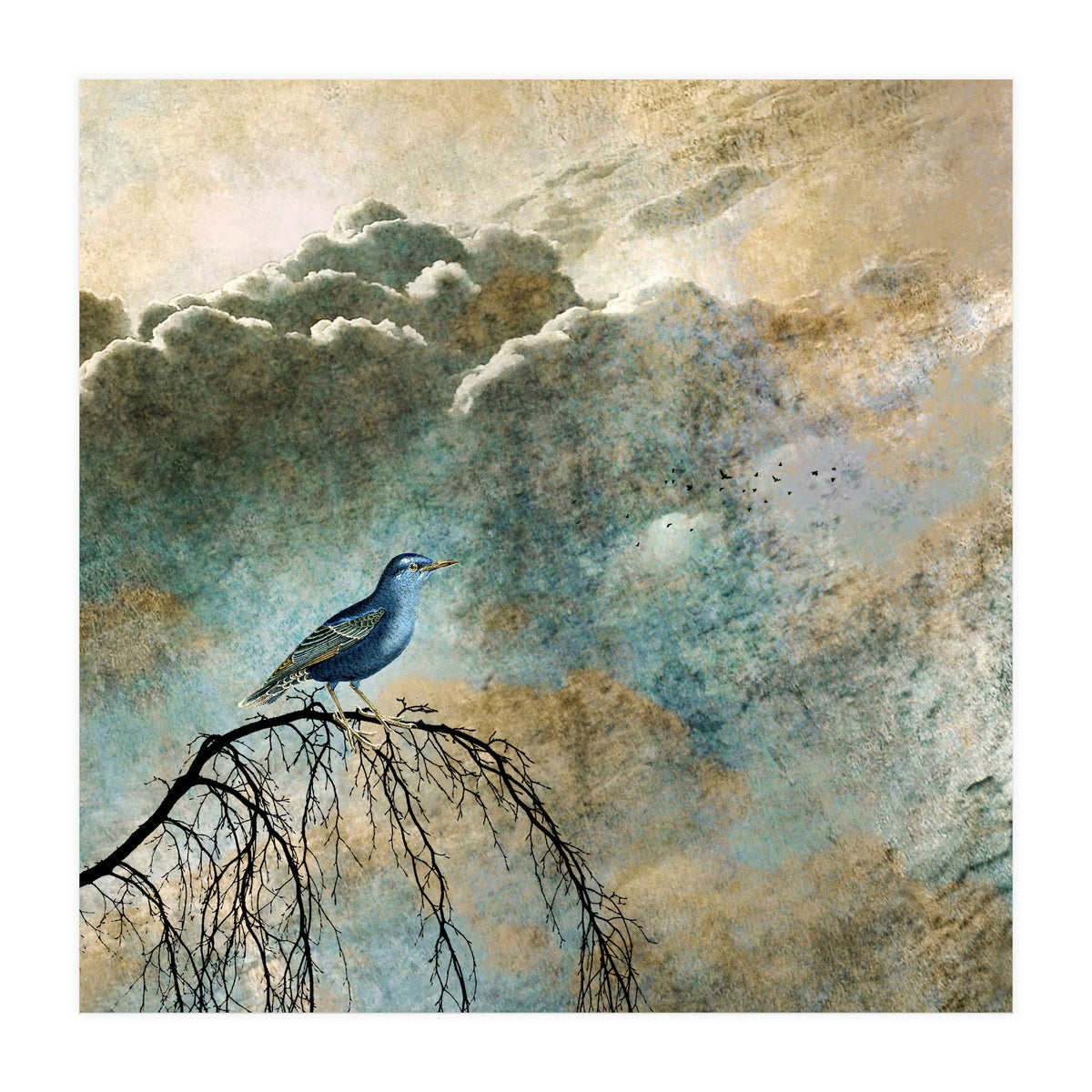 HEAVENLY BIRD IIa (Print Only)