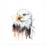 Bald Eagle - Wildlife Collection (Print Only) thumbnail