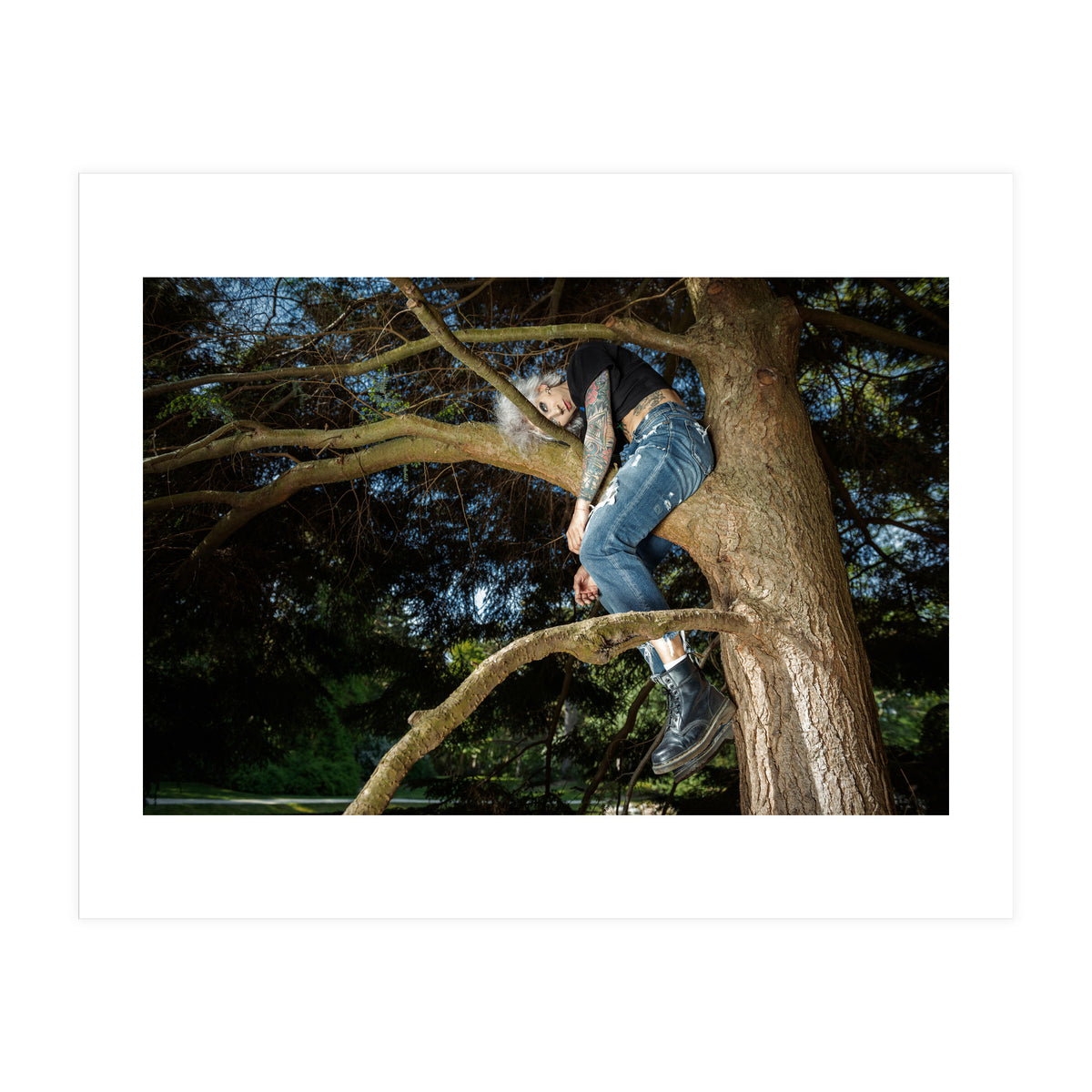 Tree Climber (Print Only)