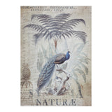 Peacock Jungle (Print Only) thumbnail