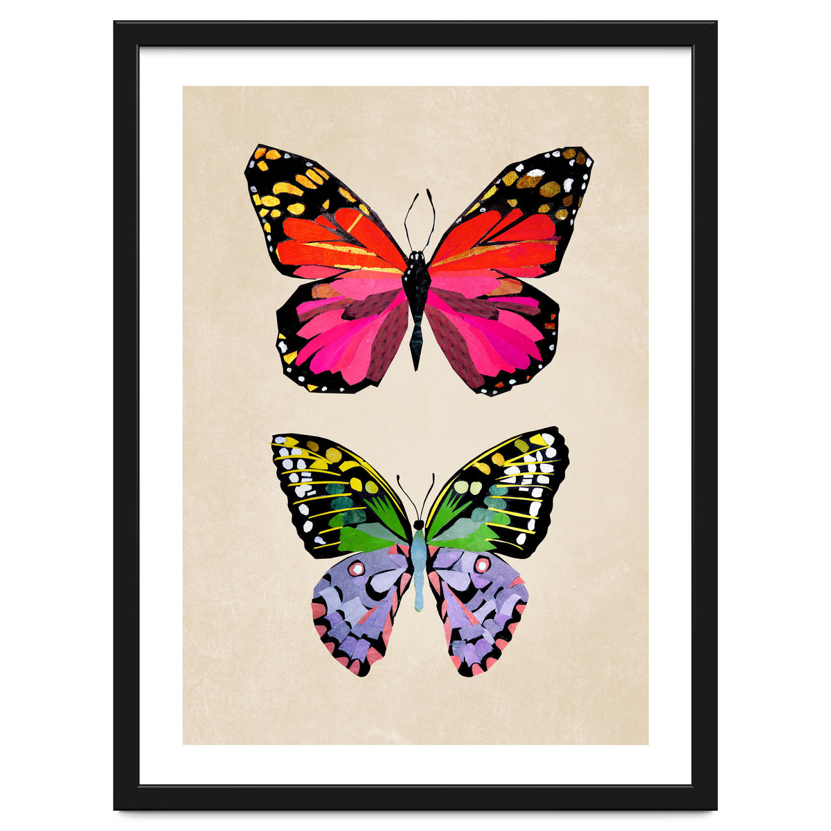 Two Butterflies