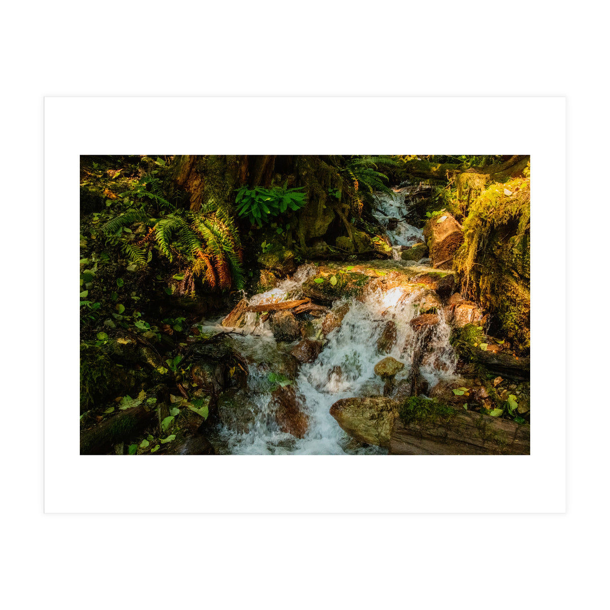 Baker Waterfall (Print Only)
