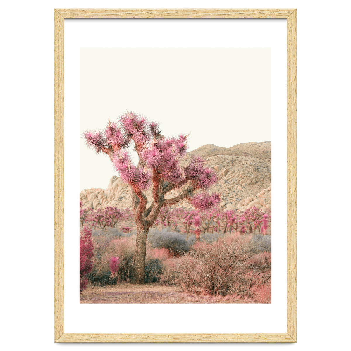 Boho Joshua Tree Cactus