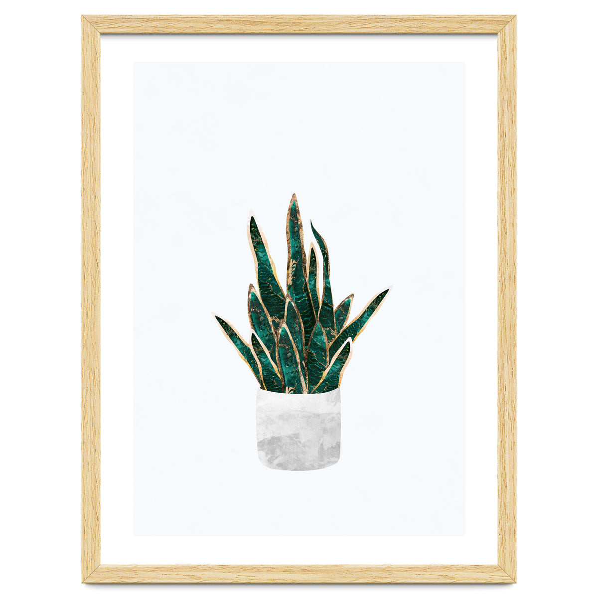 Snake Plant gold and green