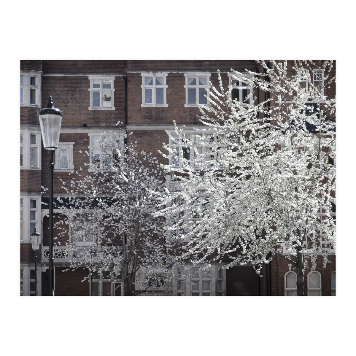 Chelsea Spring  (Print Only)