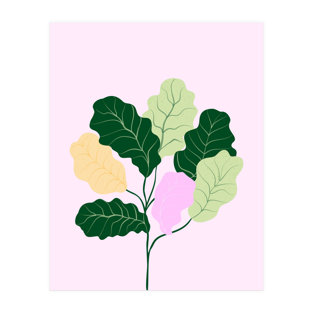Figleaf (Print Only)