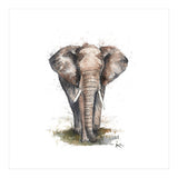 Elephant - Wildlife Collection (Print Only) thumbnail