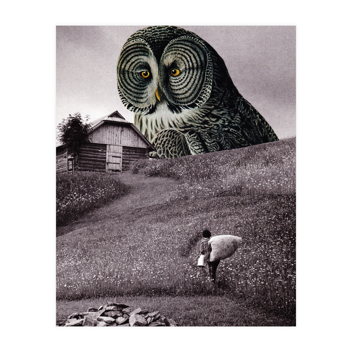 Nocturnal (Print Only)