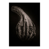 Gourds No 2 (Print Only) thumbnail