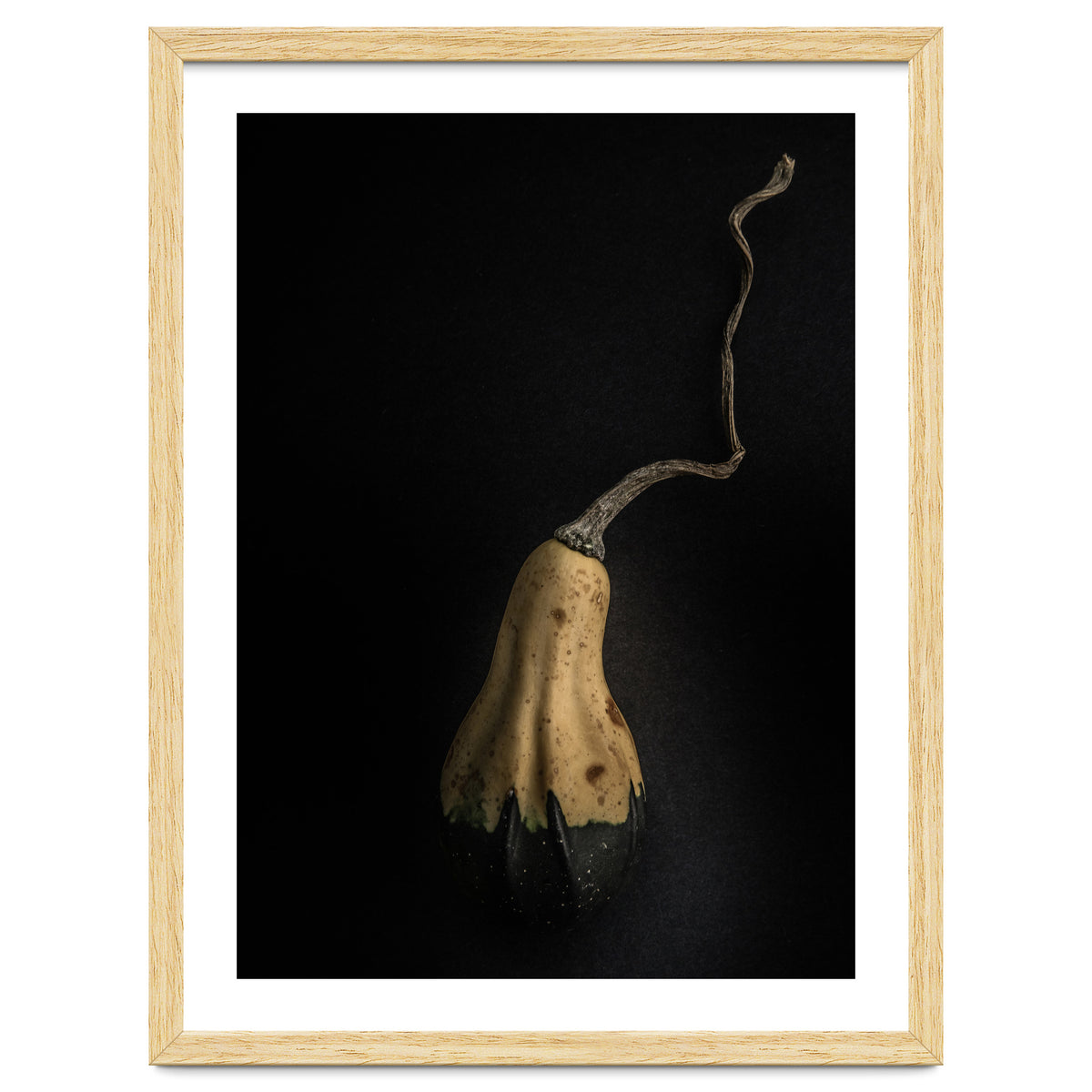 Gourds No 12 Color Version