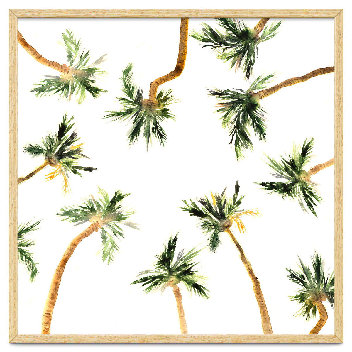 Under the coconut palms || watercolor