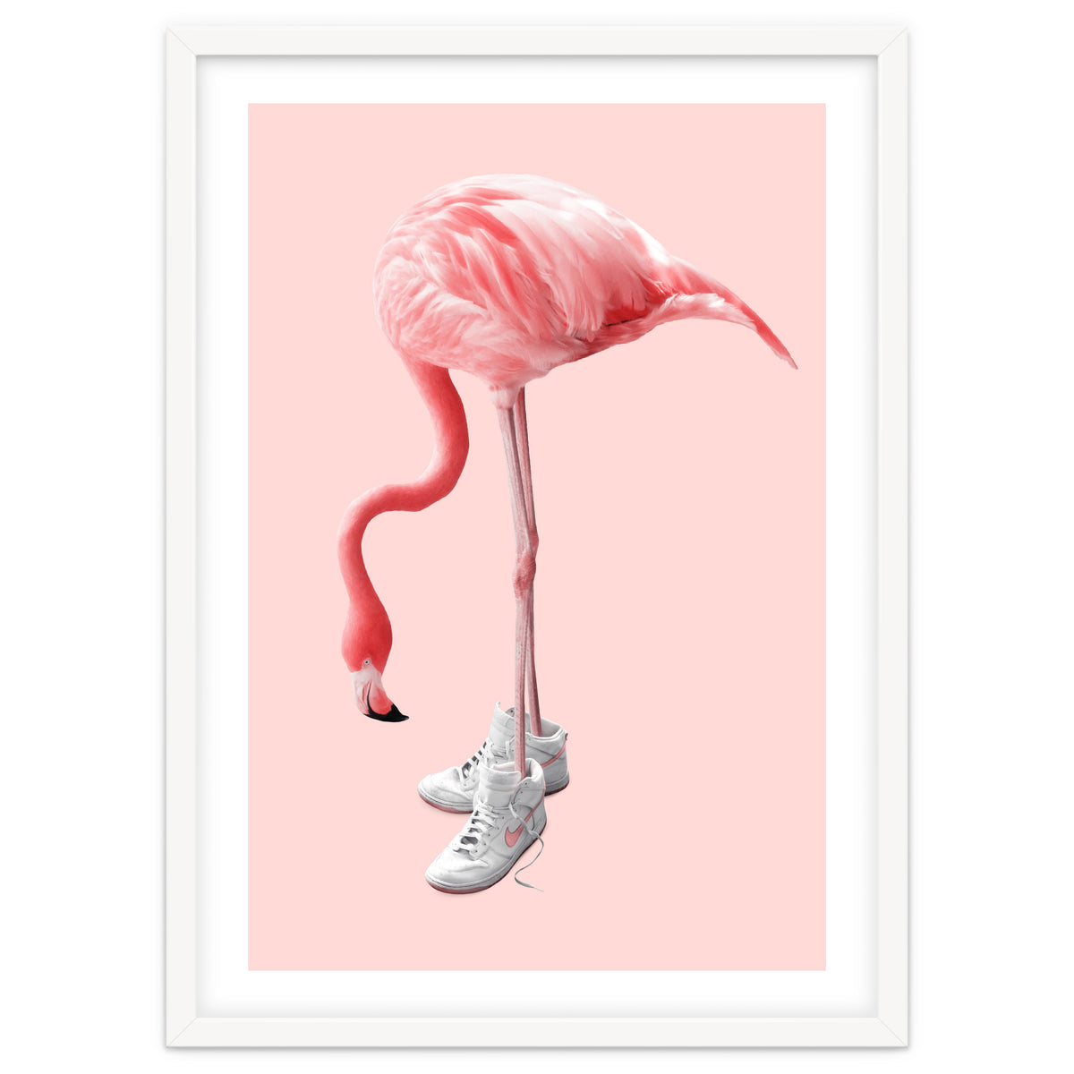 Sneaker Flamingo