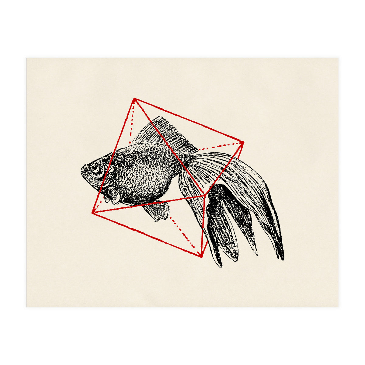 Fish In Geometrics III (Print Only)