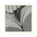 Flavors • 1 2 6  (Print Only) thumbnail