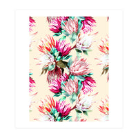 King proteas bloom II (Print Only)