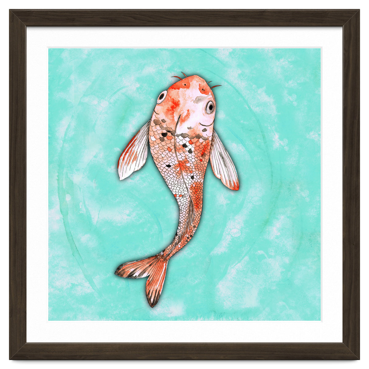 Koi fish