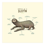 Anatomy Of A Sloth (Print Only) thumbnail